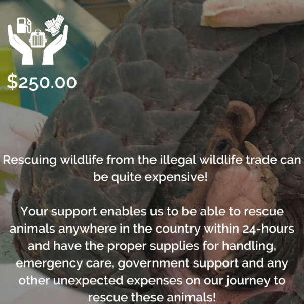 Rescue Team Support - Lao Conservation Trust for Wildlife